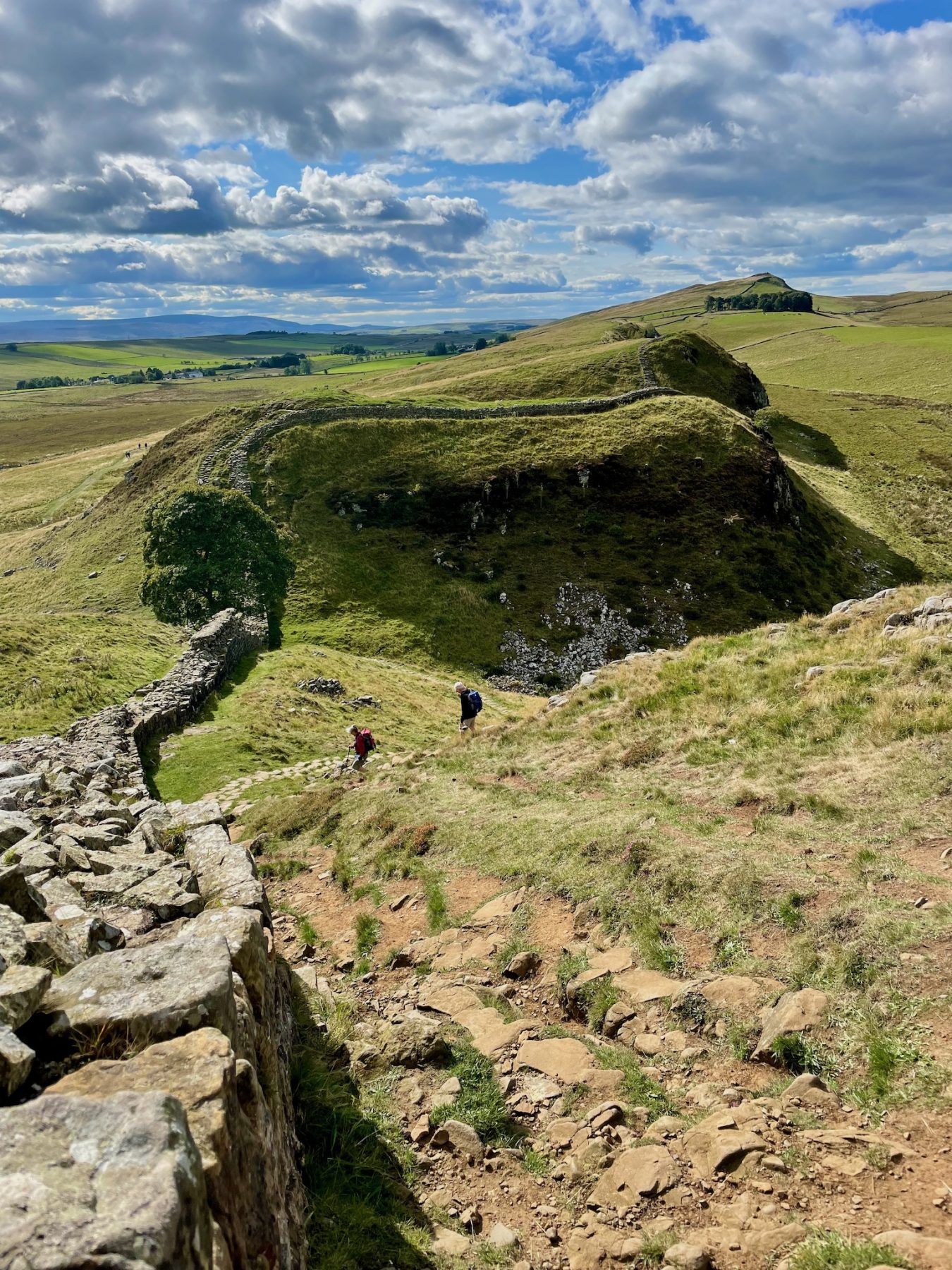 Hadrian's Wall Path