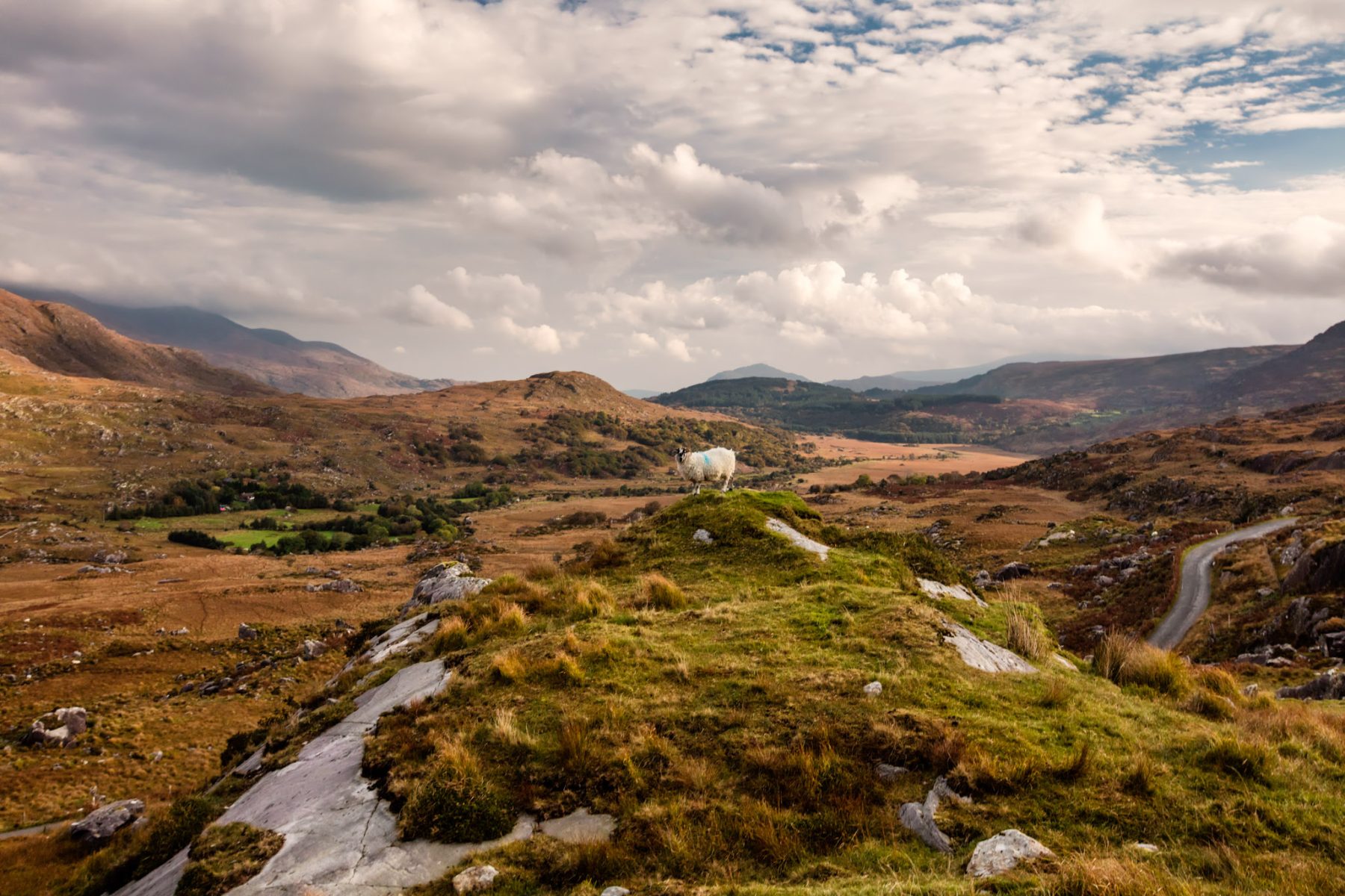 Kerry Way wandelen van Kenmare naar Killarney