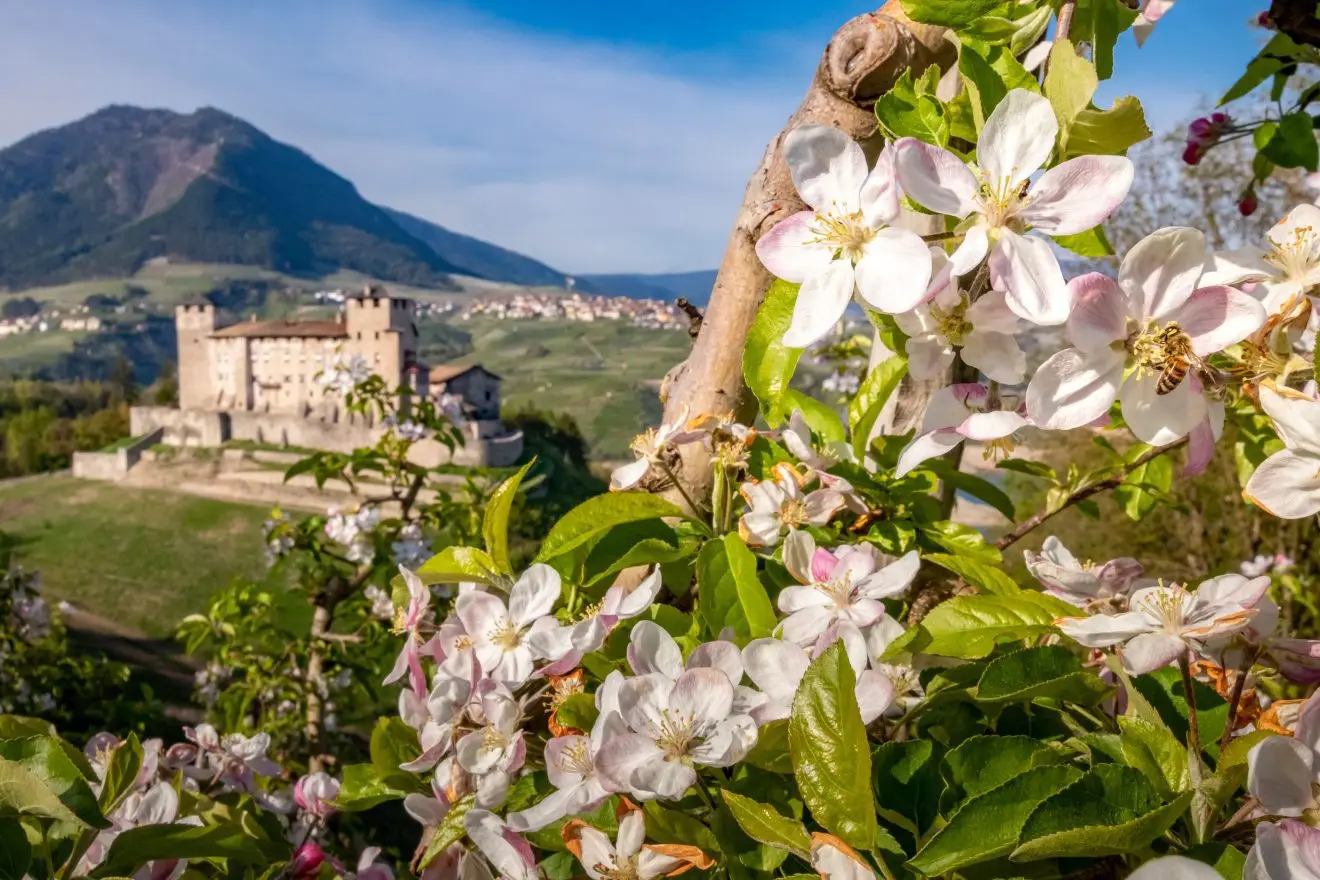 Een landschap met bloemen in Italië.
