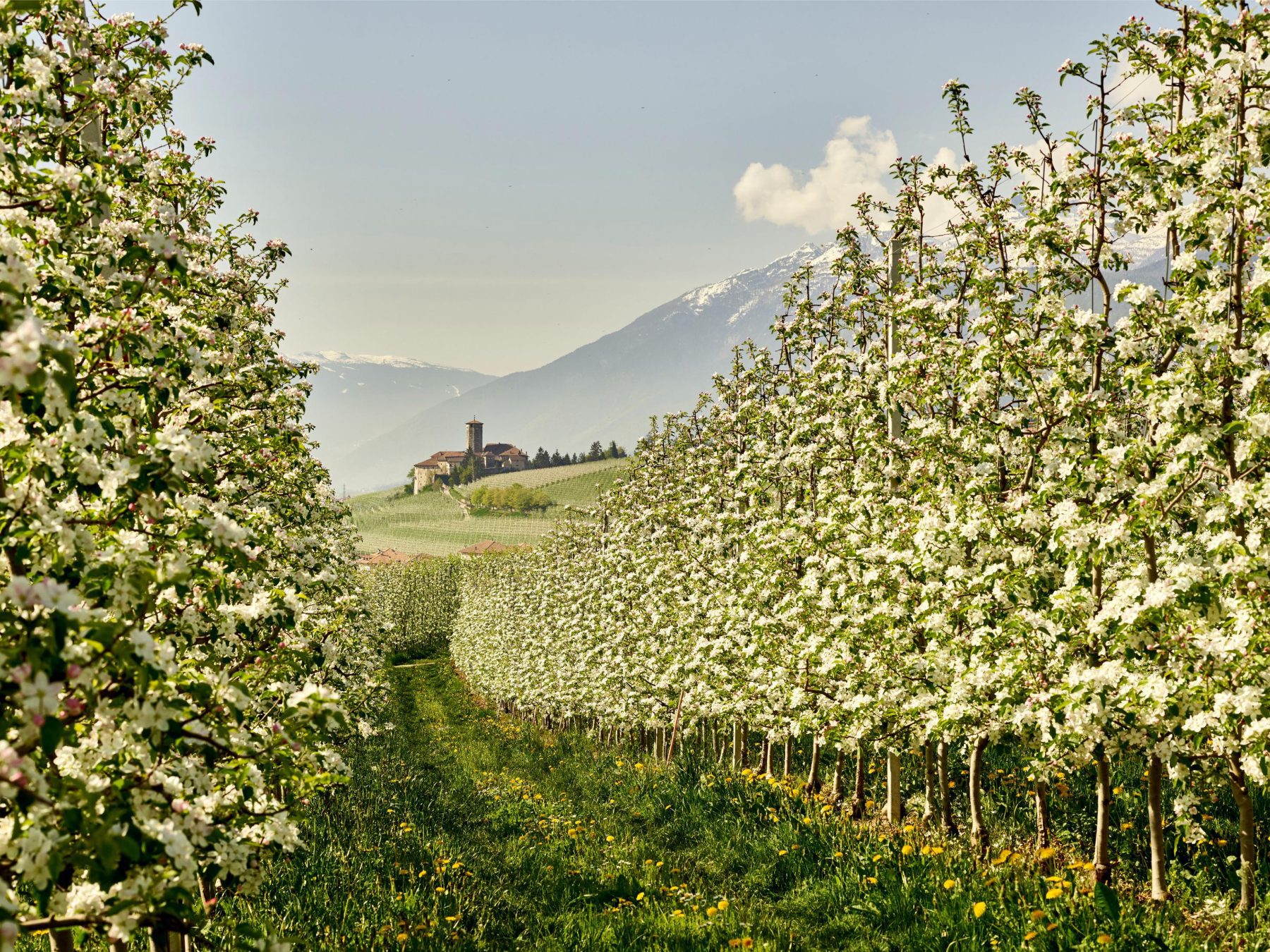 Een prachtig bloemenlandschap in Italië.