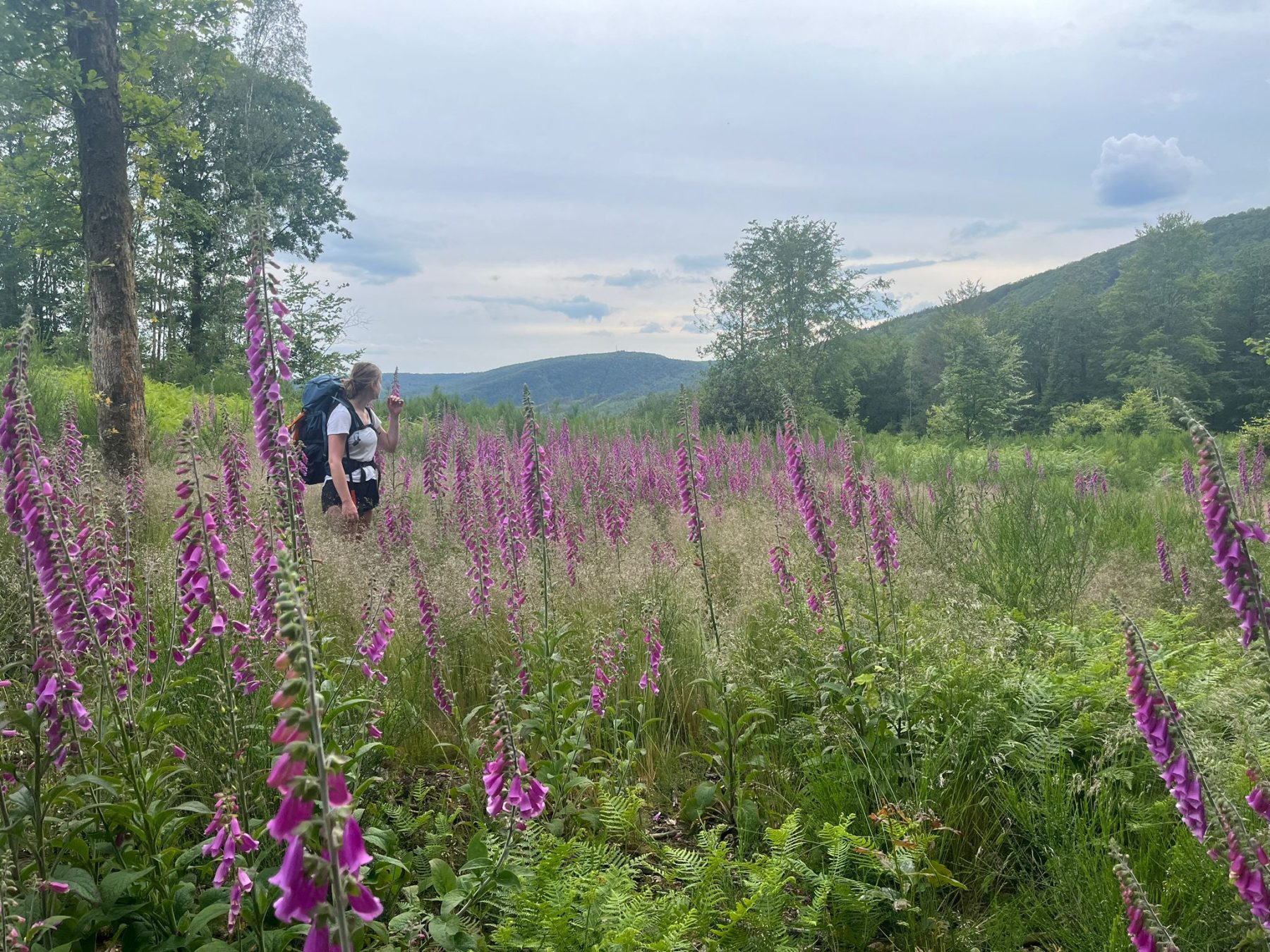 Genieten van bloemenvelden tijdens de wandeling