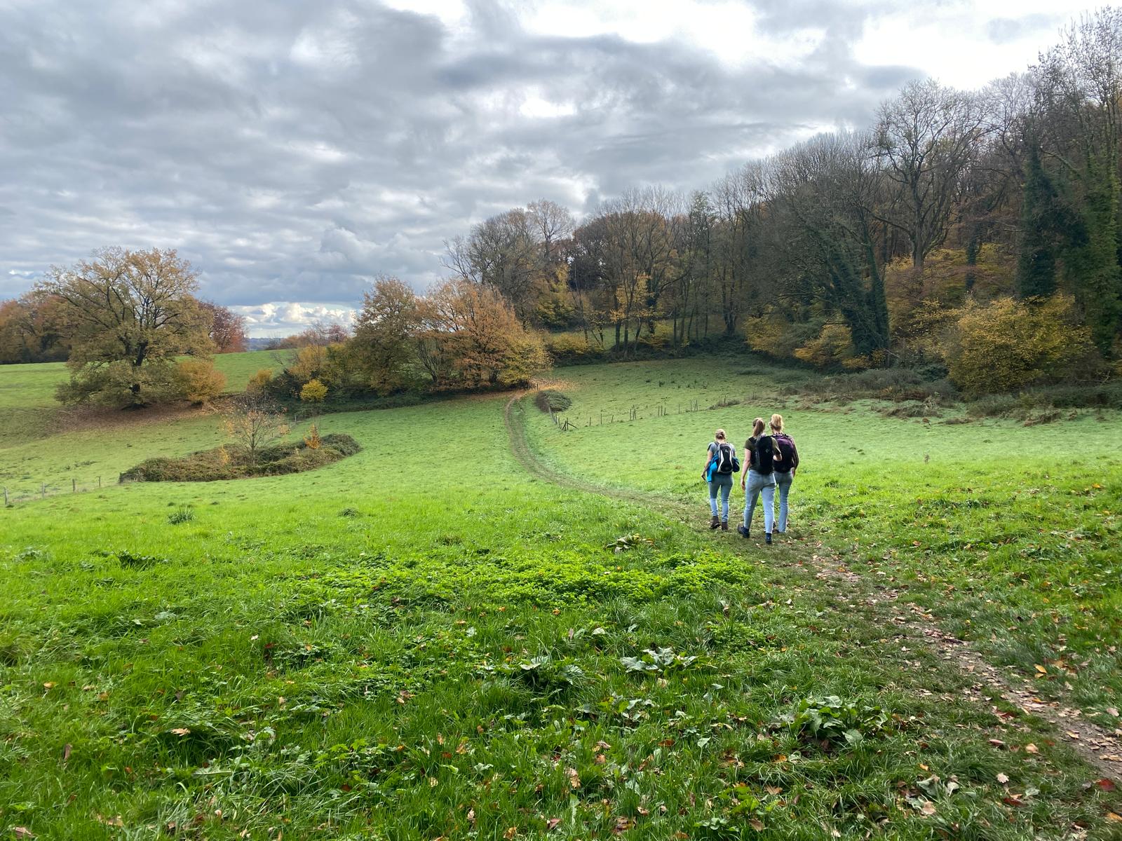 Wandelen over de Dutch Mountain Trail in Limburg