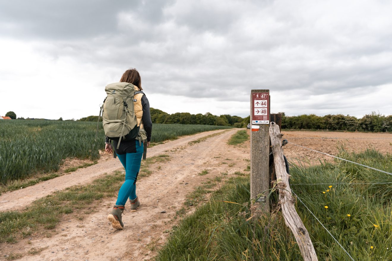 deuter Aircontact