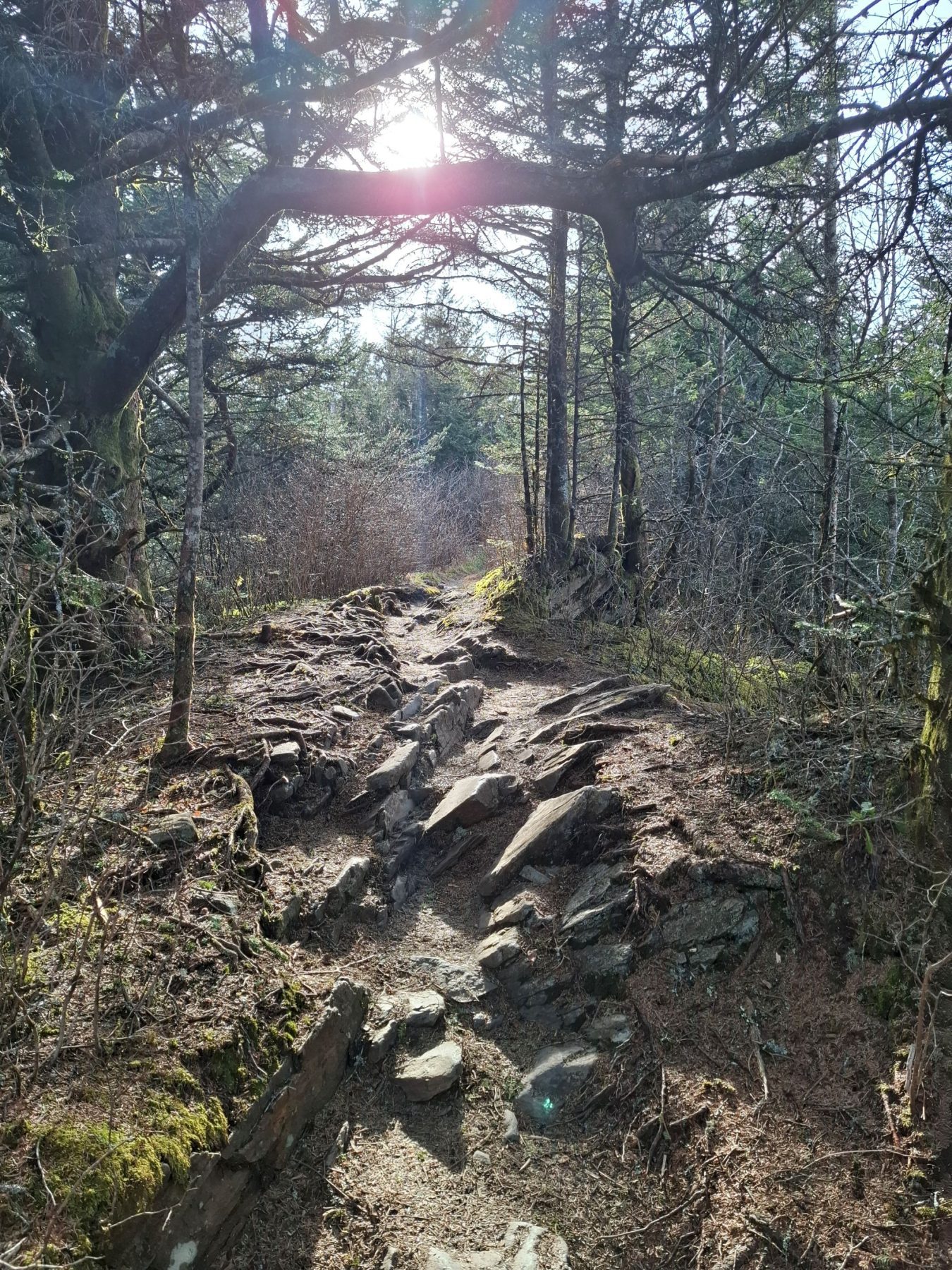 Mount Buckley