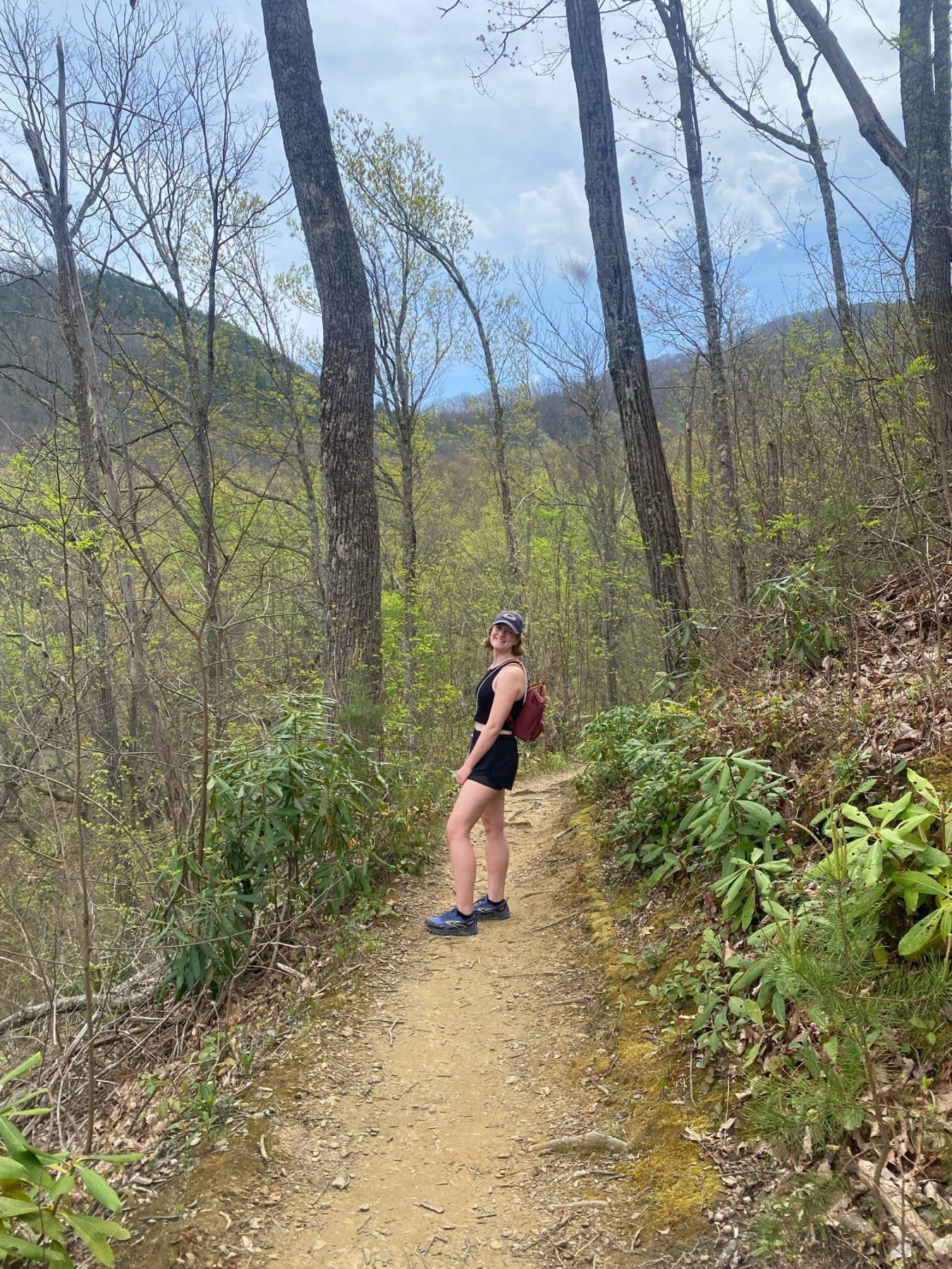 Trillium Gap Trail