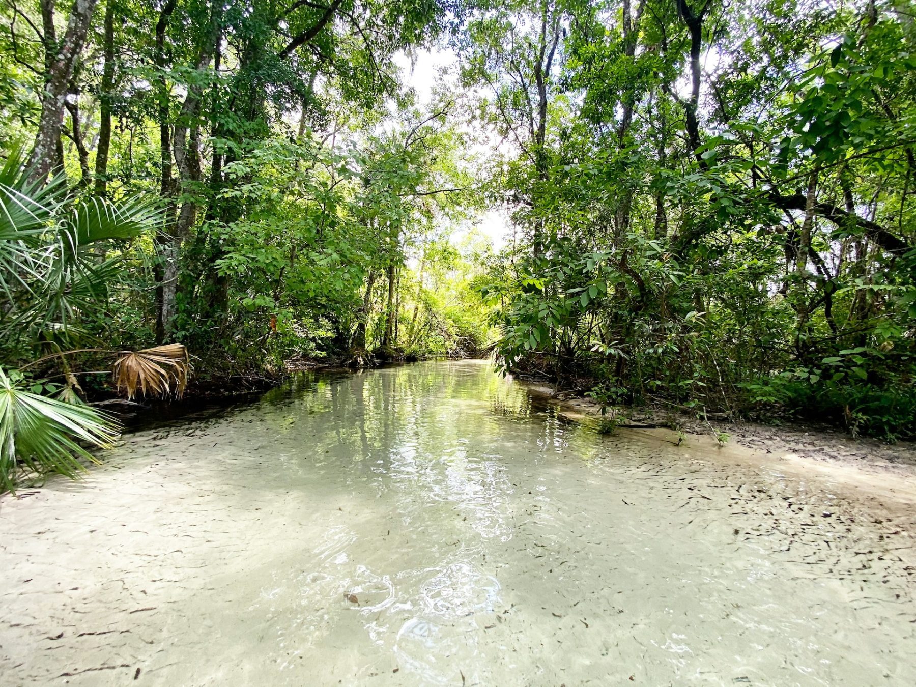 Florida Trail