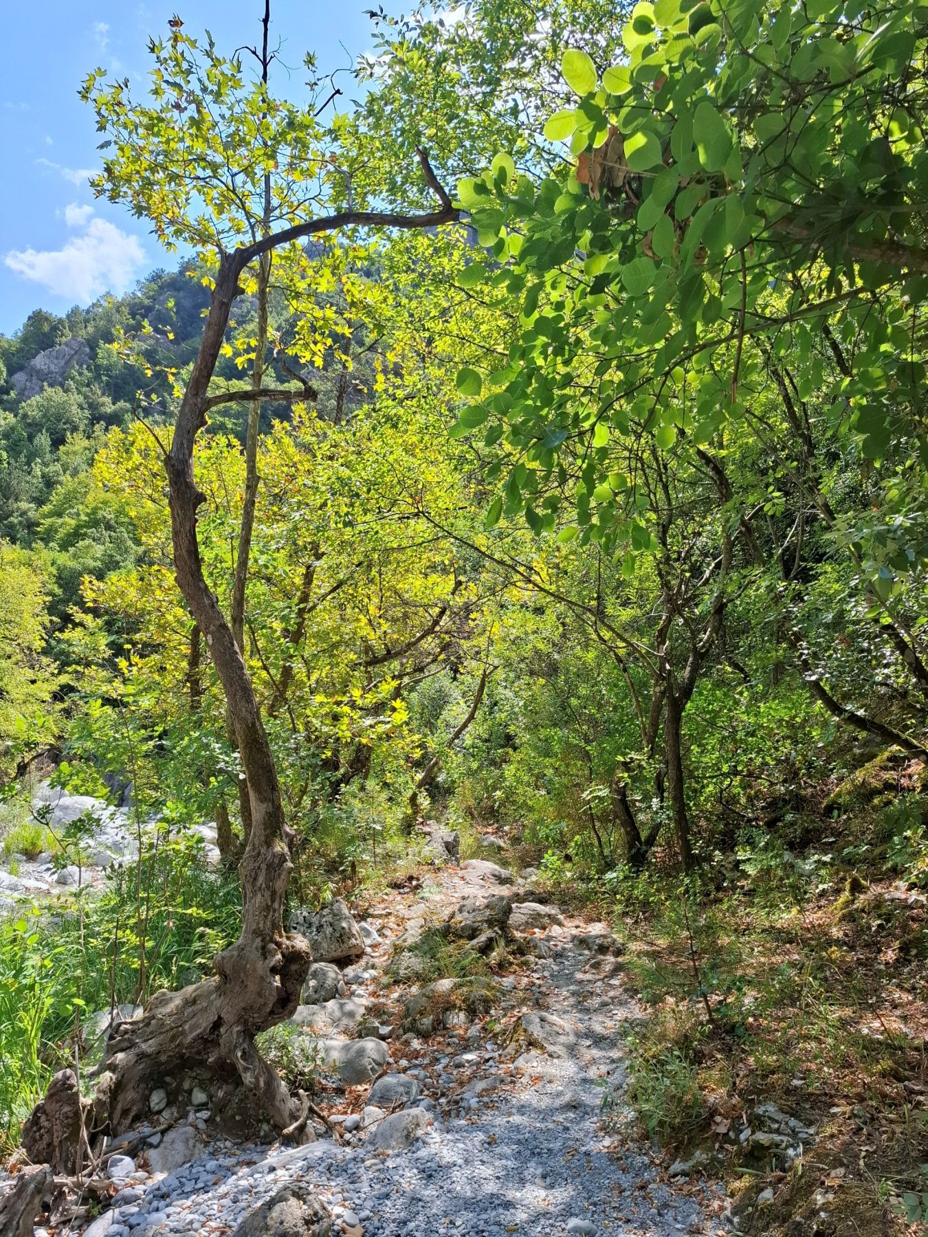Enipeas kloof