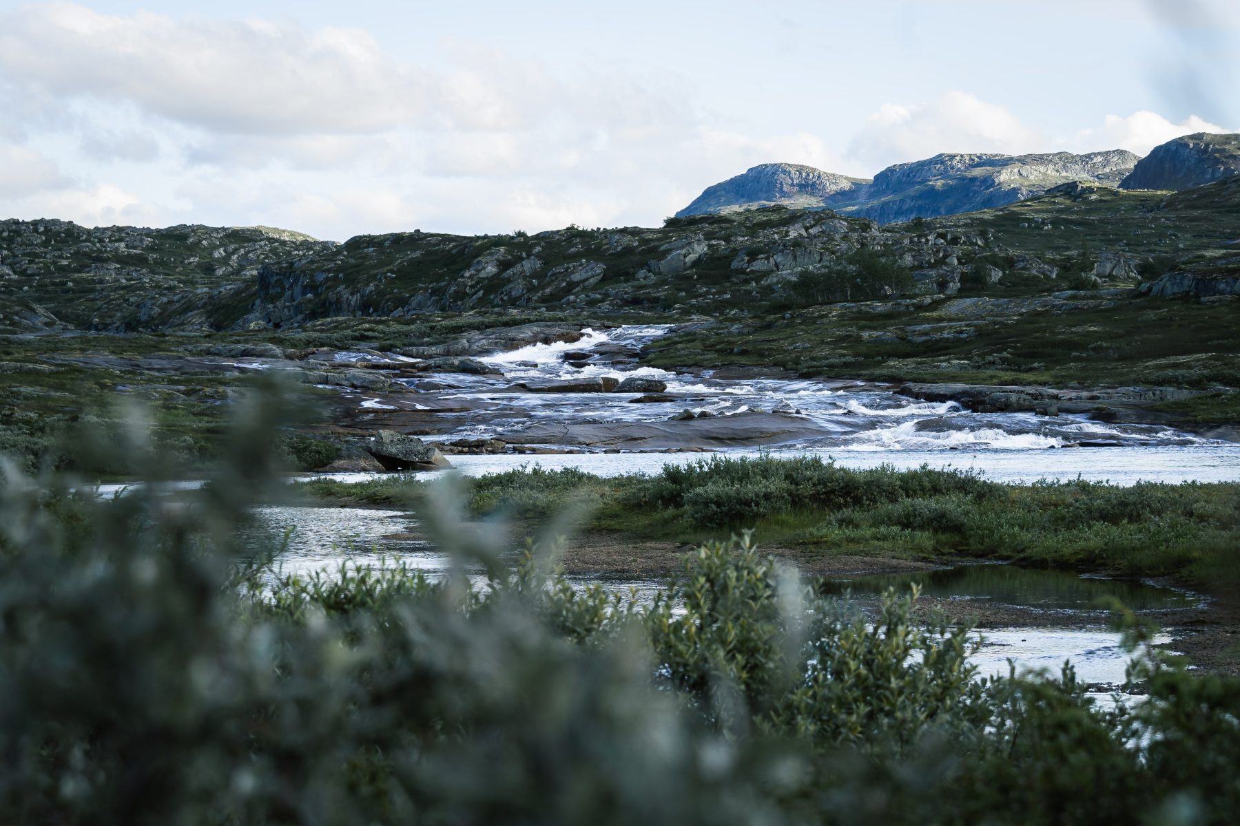The Norway Trail