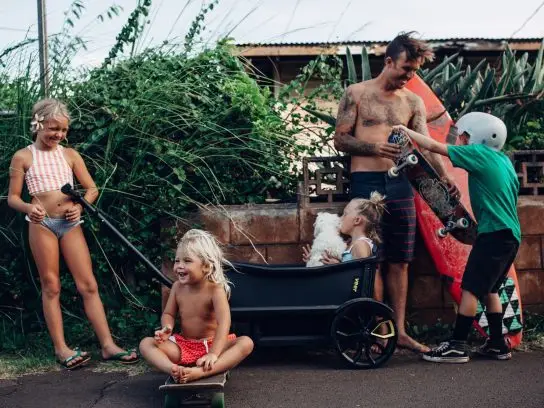 Bolderkarren veer gear