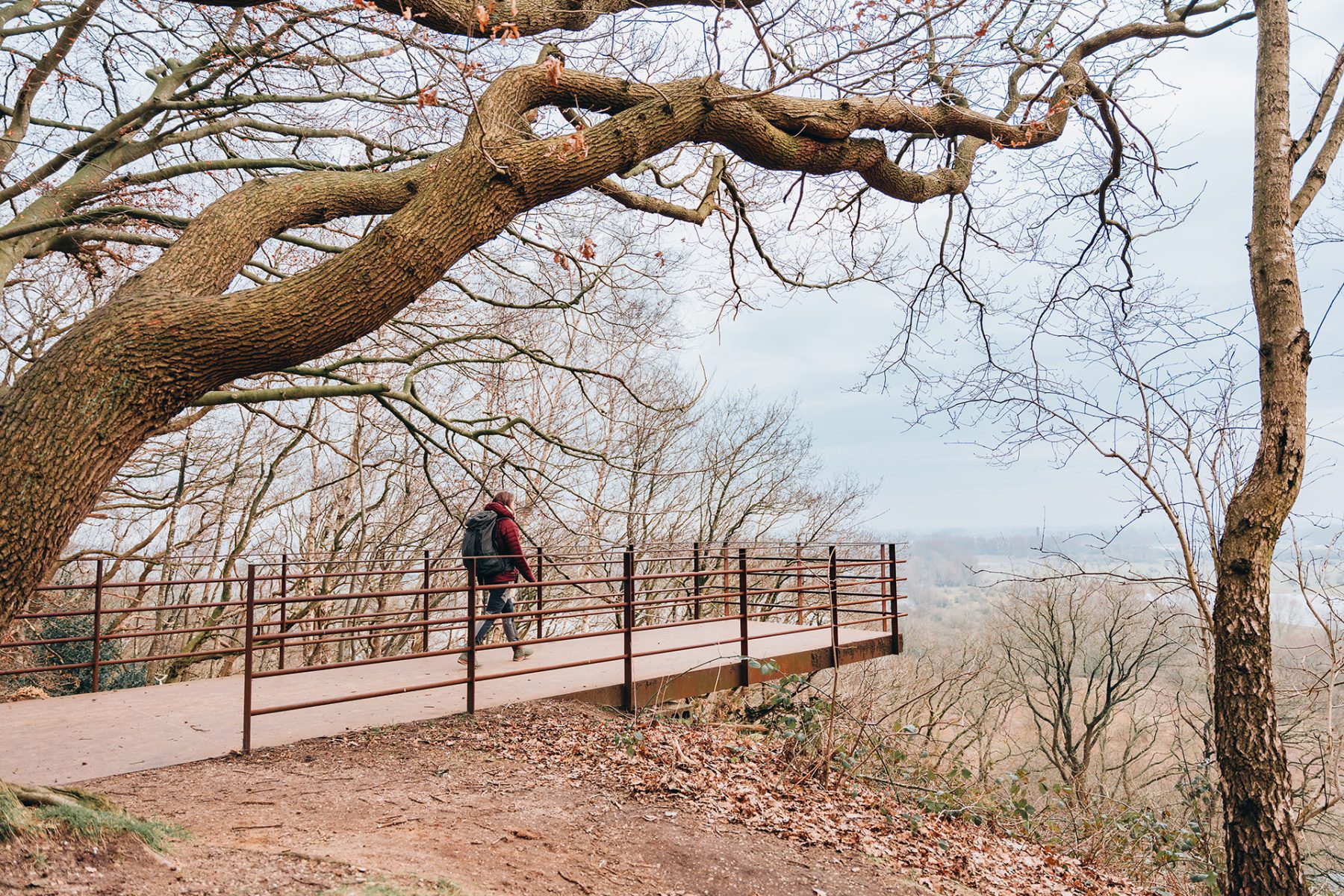 Grebbeberg uitkijkpunt