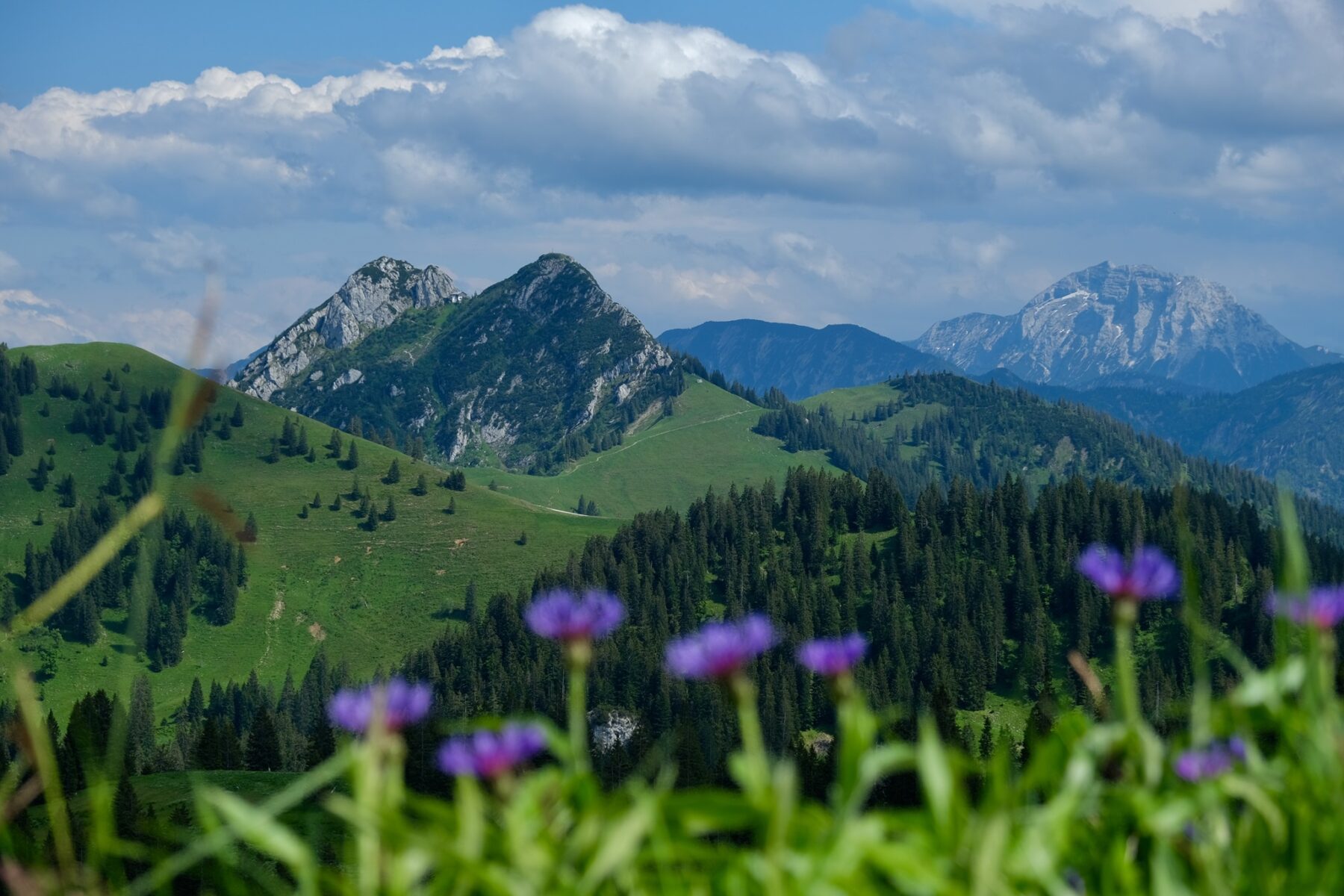 Beierse Alpen Duitsland