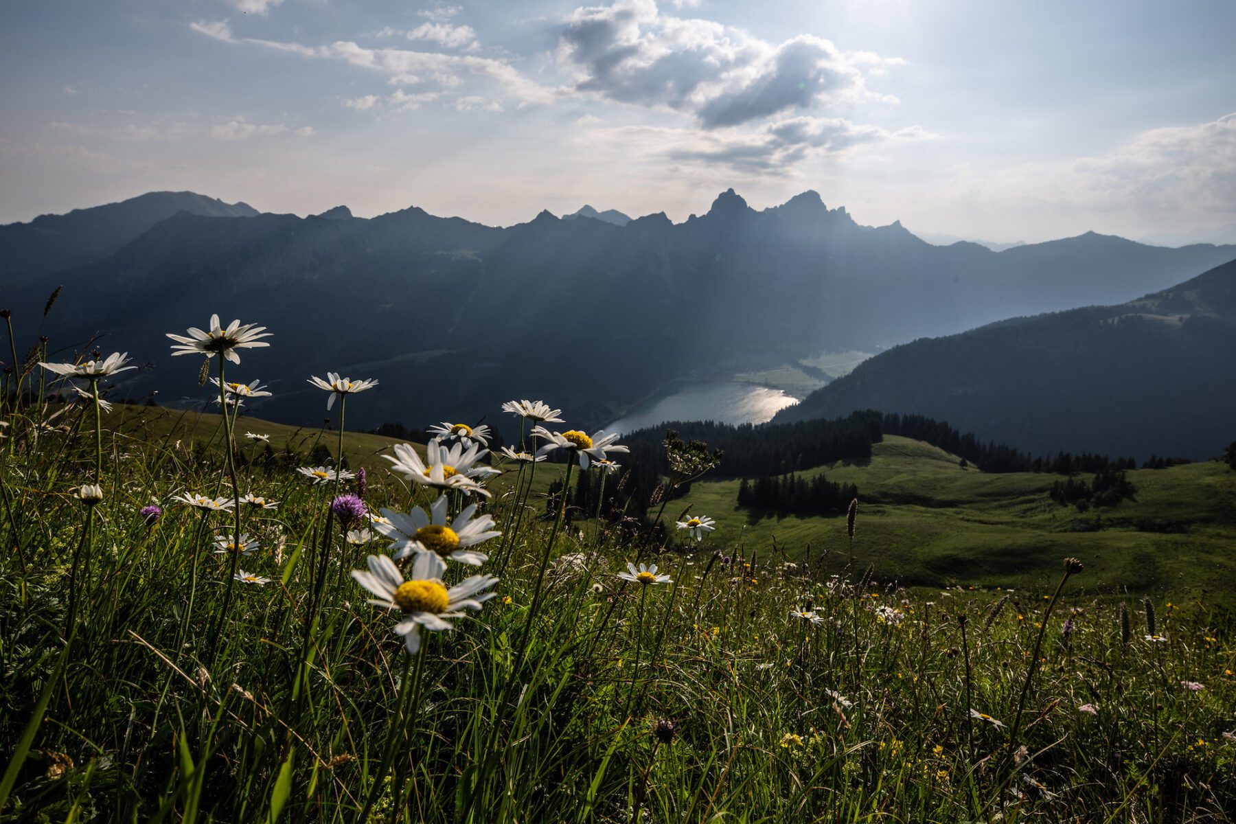 Uitzicht op het Tannheimer Tal en de omringende bergen