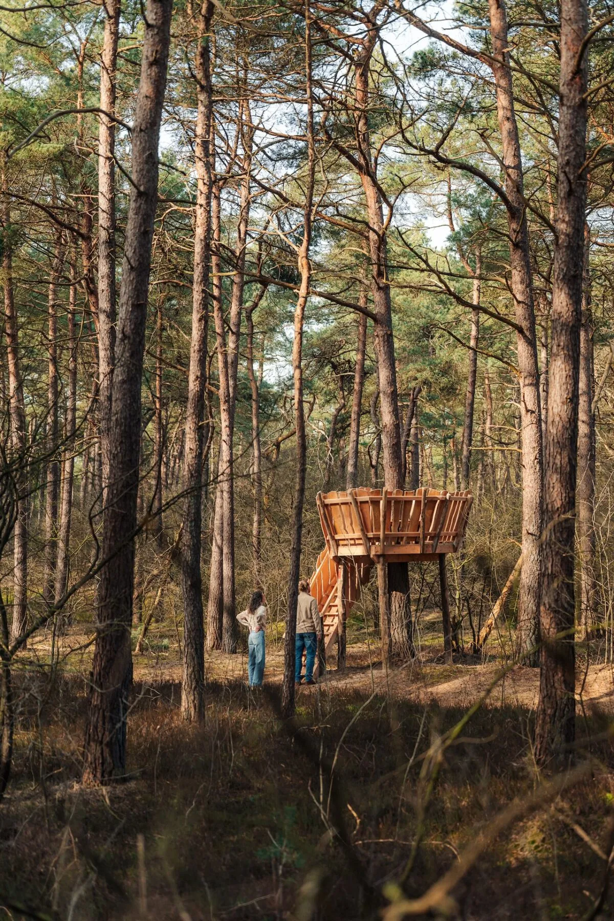 Zinzitter buiten bereik wandelroute Drenthe