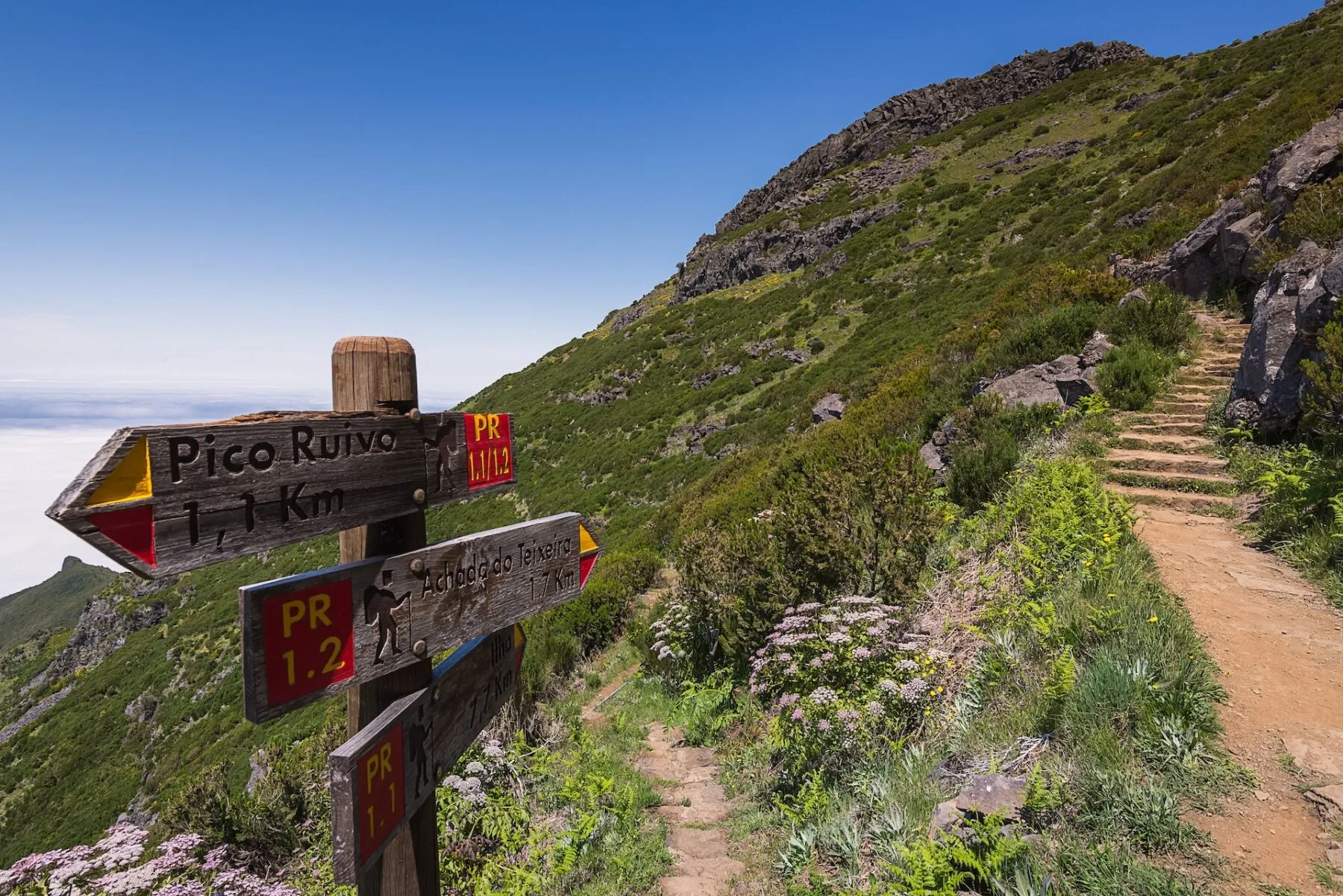 PR 1.1_Vereda da Ilha ©Francisco Correia