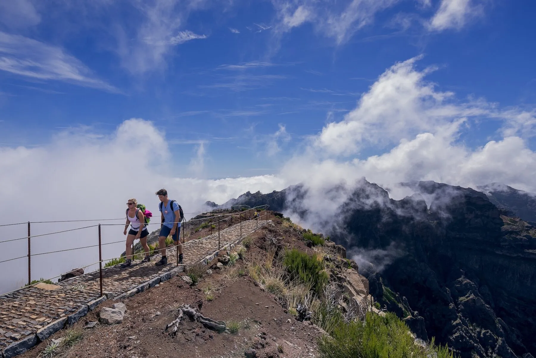 PR 1.2_Vereda do Pico Ruivo ©Francisco Correia