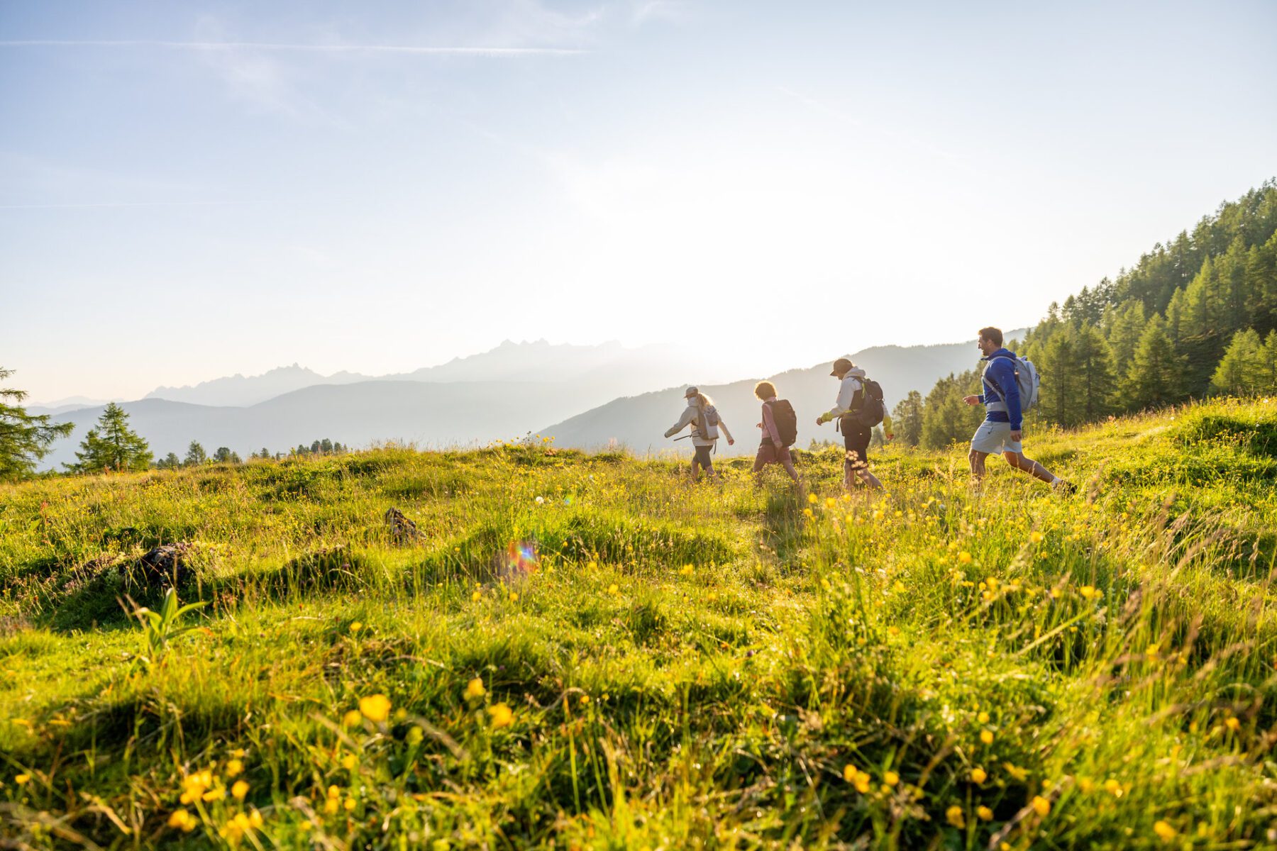 Hiken in Flachau, gelegen in het SalzburgerLand