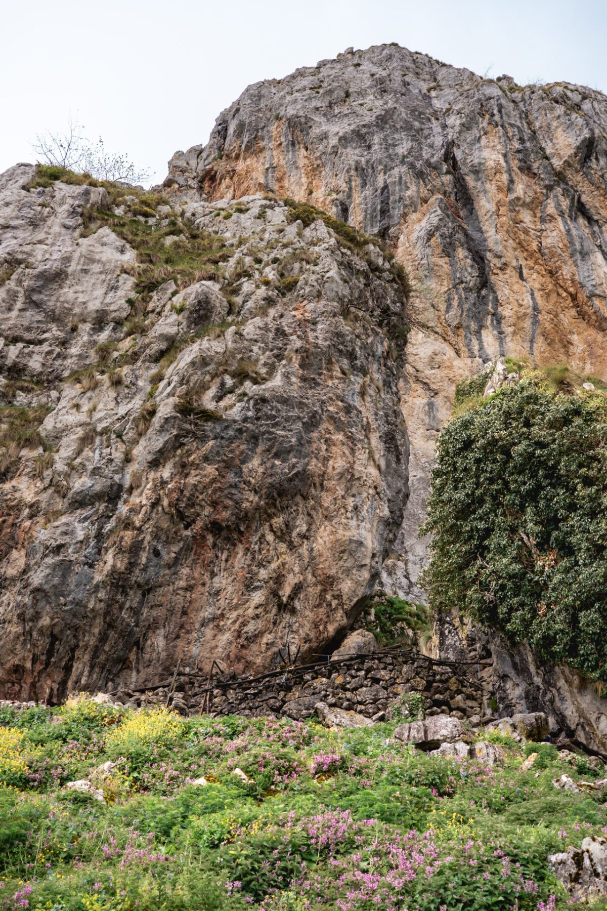 Picos de Europa