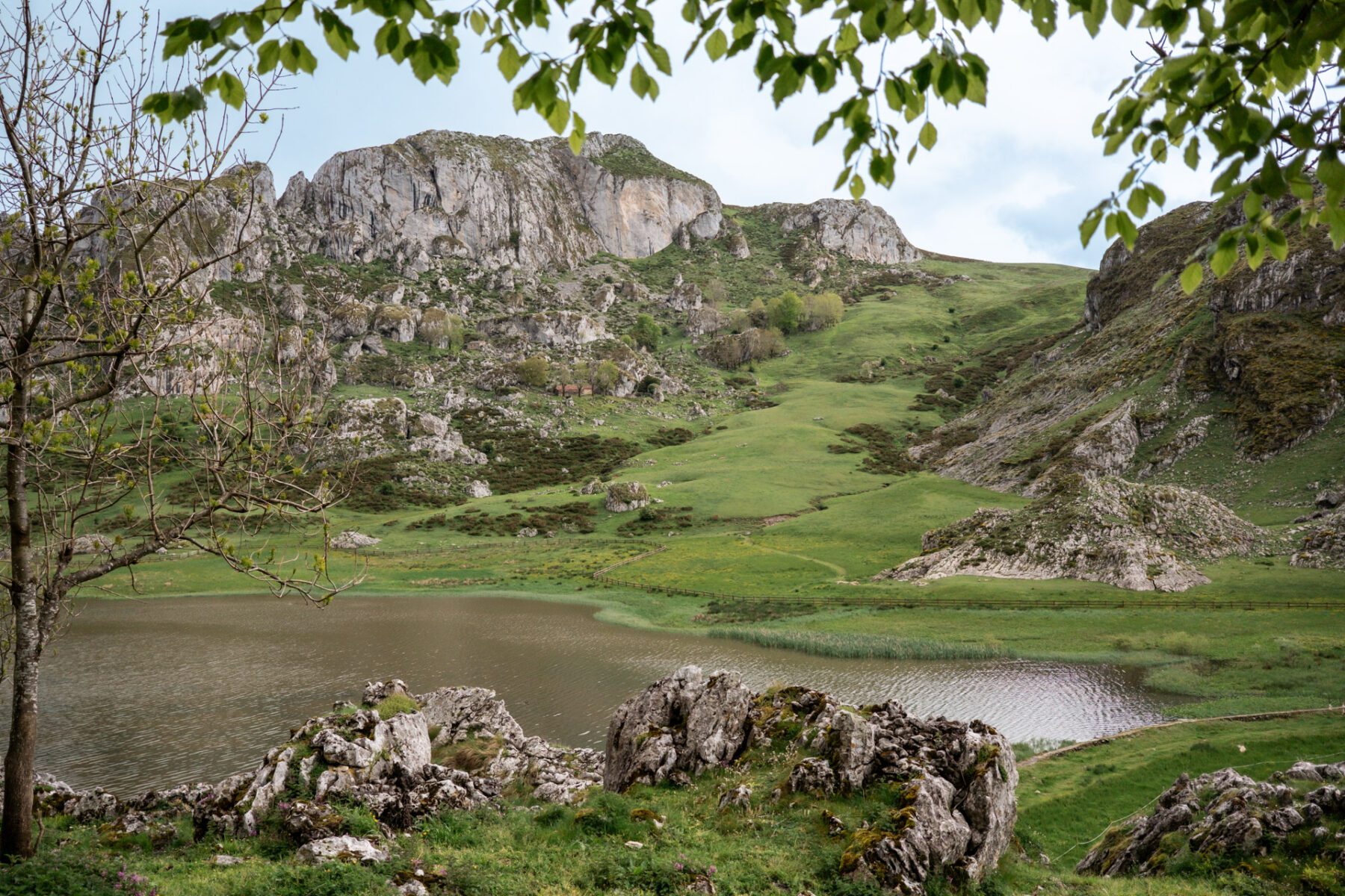 Lago de la Ercina, Covadonga, Picos de Europa