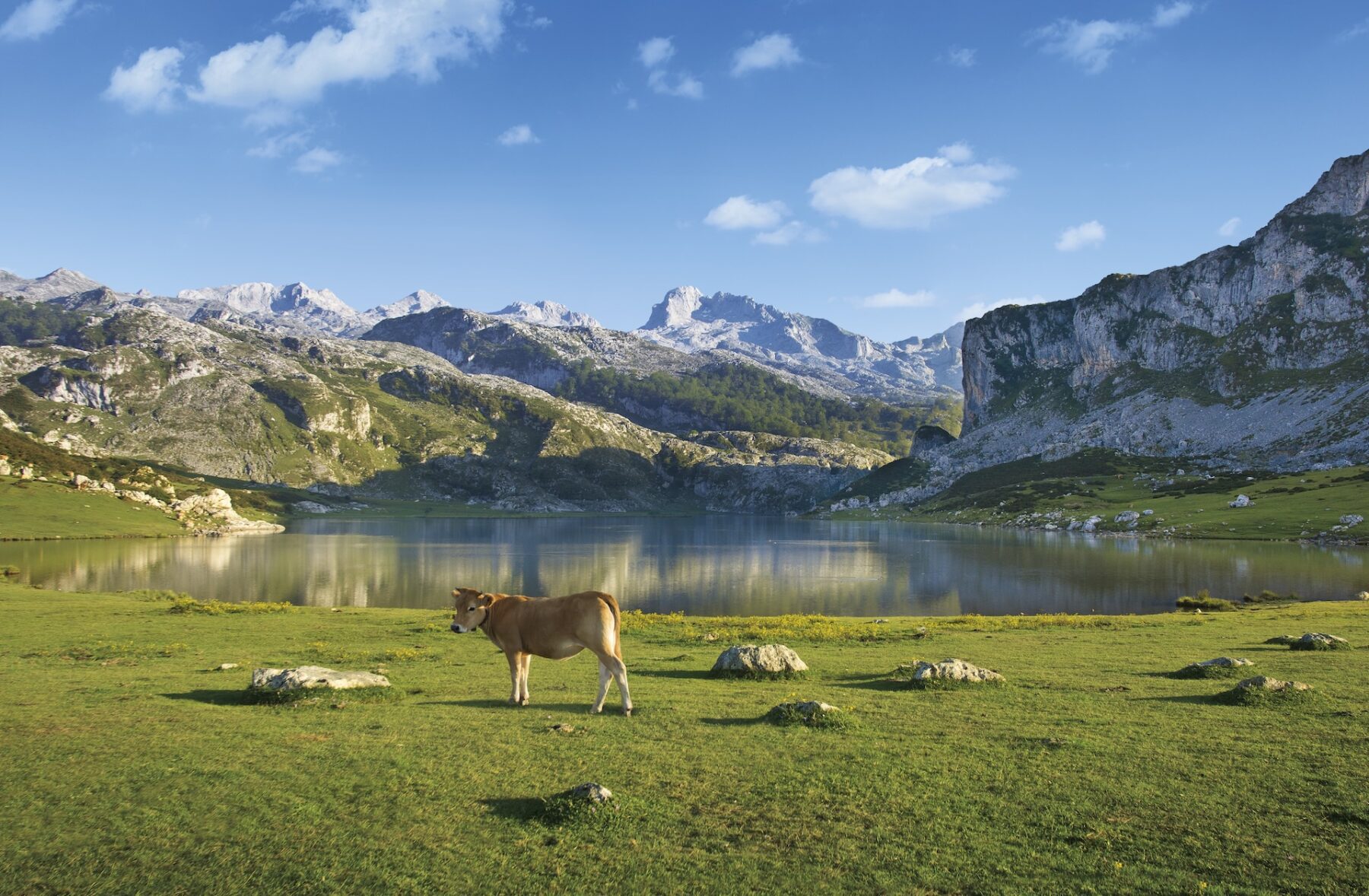 Lago Ercina, Ruta de los Lagos, Picos de Europa