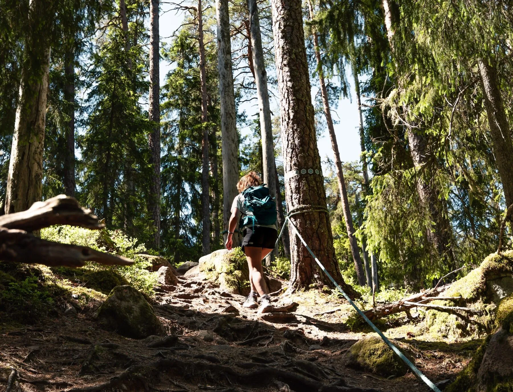 Wandelen in Småland, Zweden