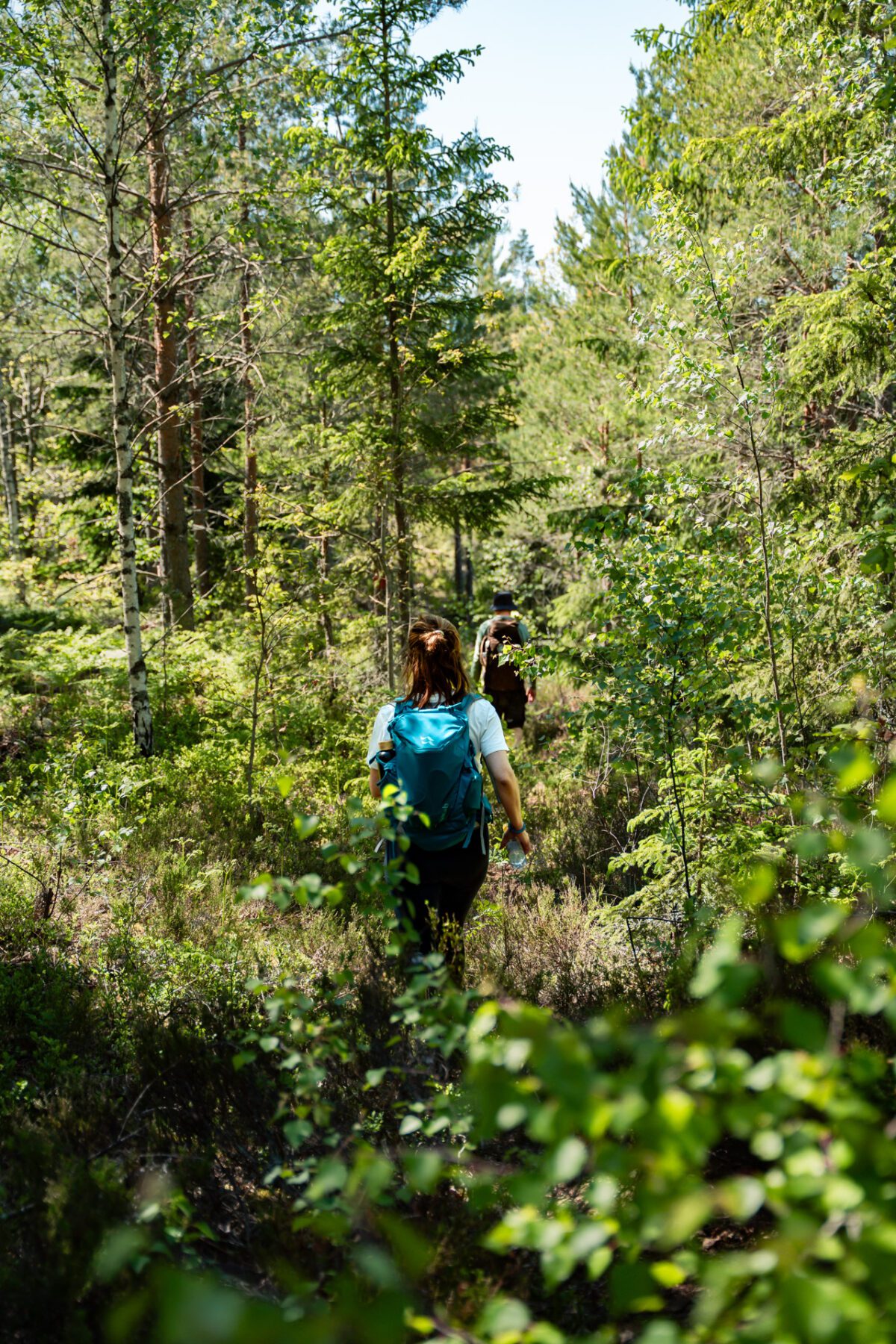 Tjustleden, Småland, Zweden