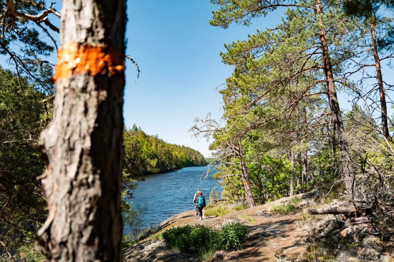 Tjustleden trail met markering