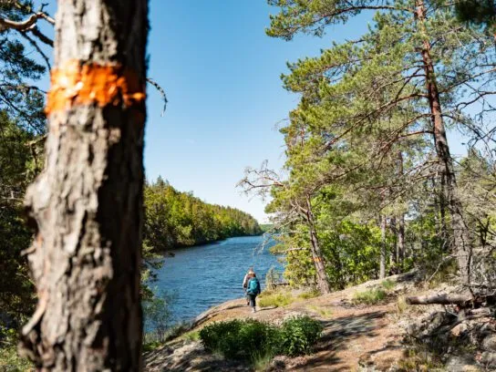 Tjustleden trail met markering
