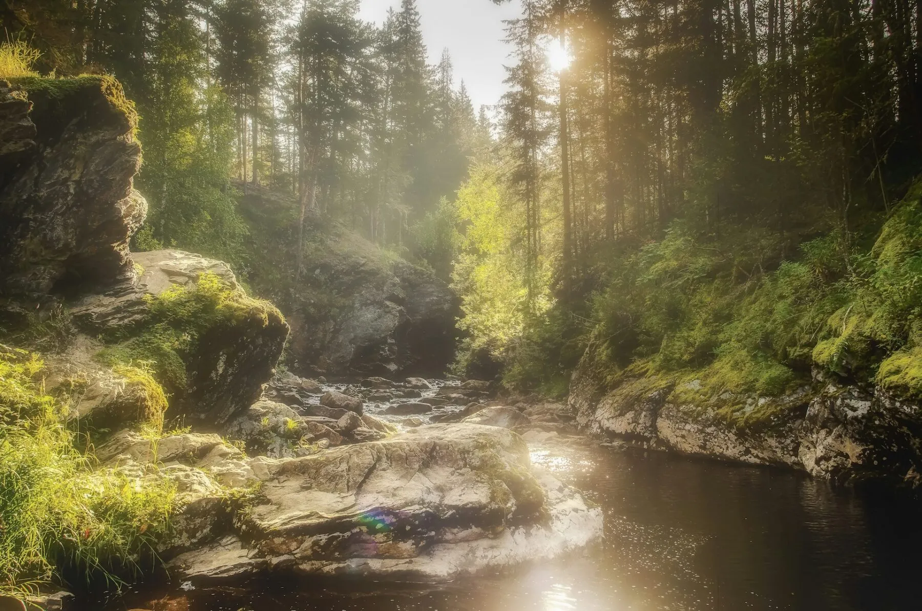 Natuur